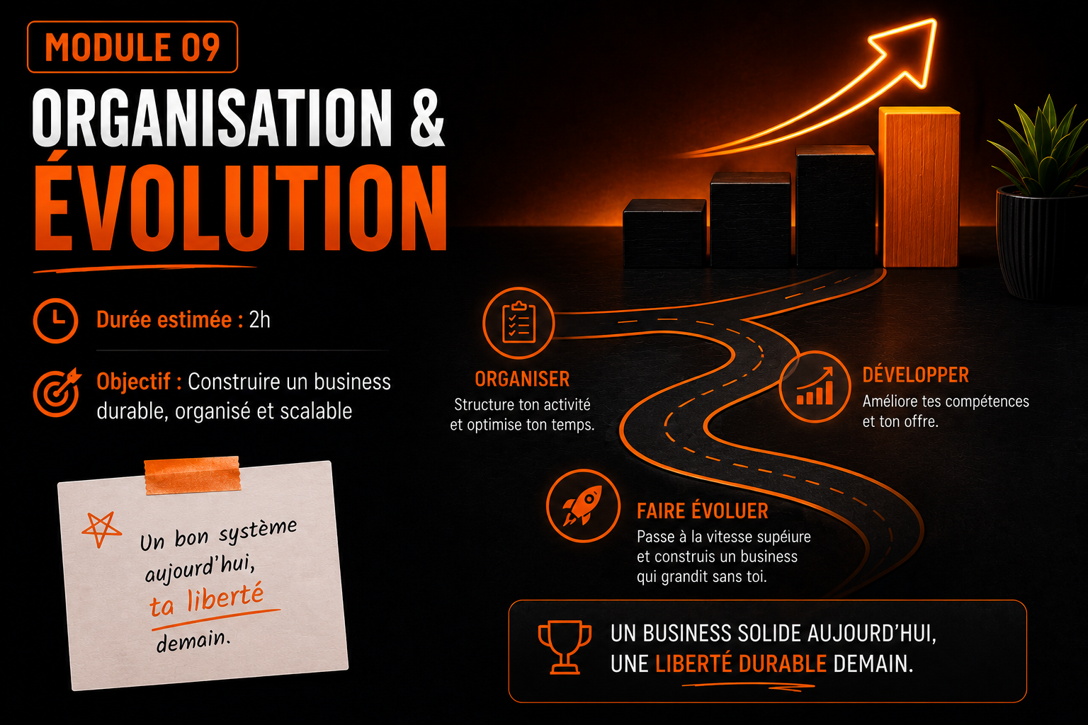 MODULE 09 – ORGANISATION & ÉVOLUTION